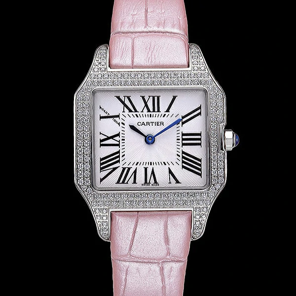 Cartier Santos 100 Diamond Silver Bezel new59825