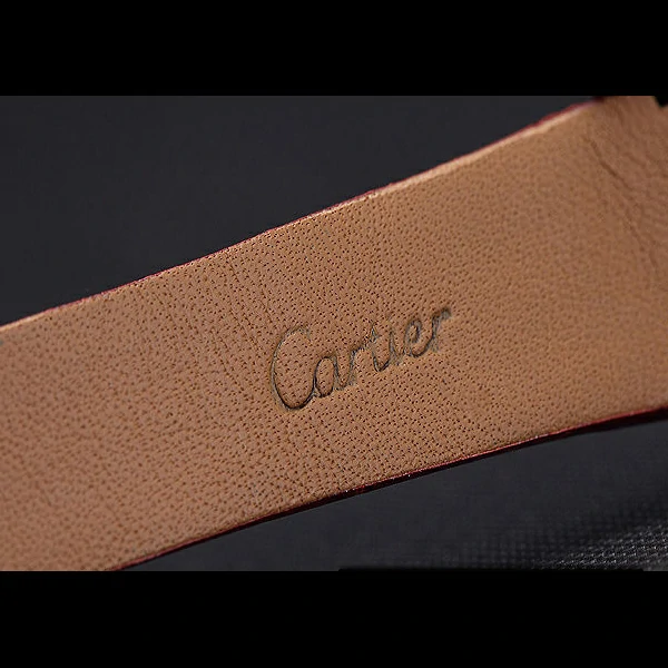 Cartier Santos 100 Diamond Silver Bezel new59843
