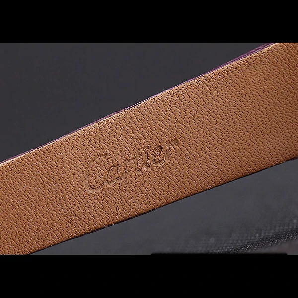 Cartier Santos 100 Polished Rose Gold Bezel new59836