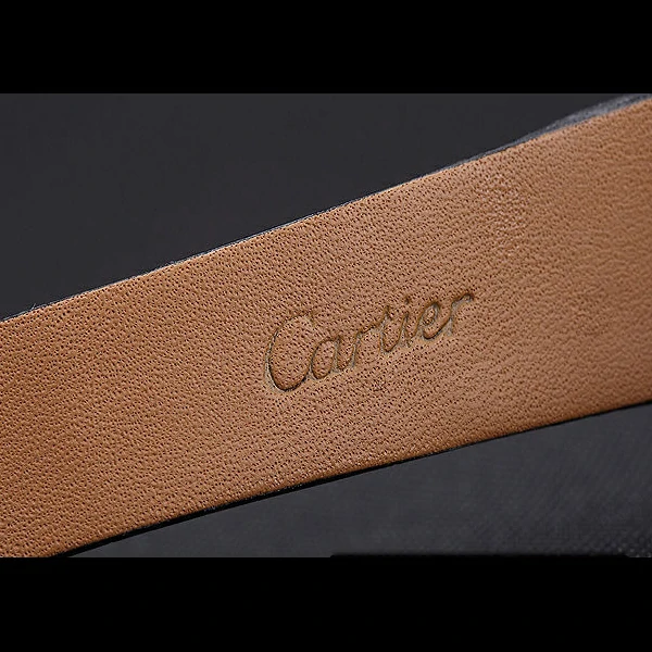 Cartier Santos 100 Polished Stainless Steel Bezel new59846