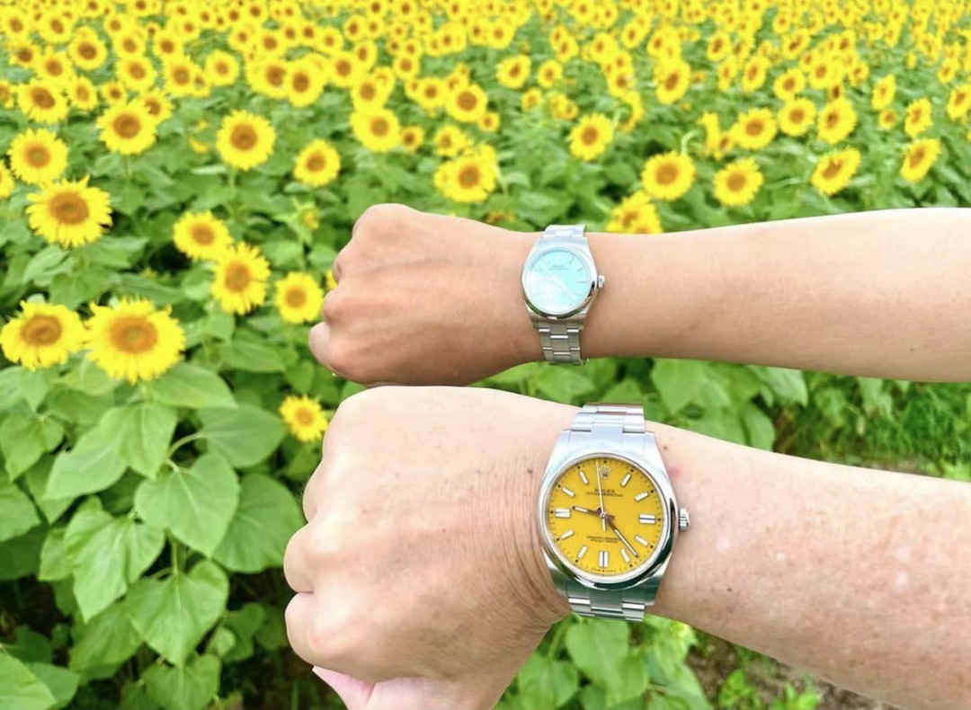 134300-0007 – 41mm Yellow Dial Oyster Perpetual Replica