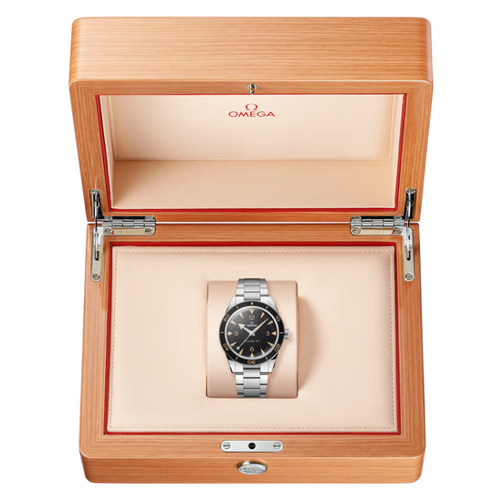Omega Replica Watch Seamaster 300 234.30.41.21.01.001