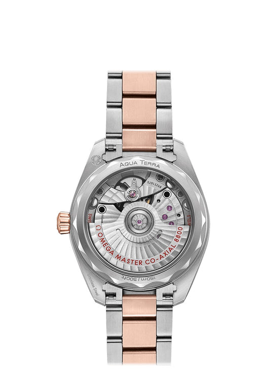 Omega Replica Watch Seamaster AQUA TERRA 150M CO‑AXIAL MASTER CHRONOMETER 220.20.34.20.03.001