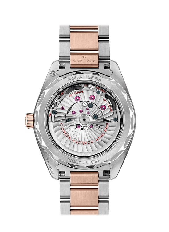 Omega Replica Watch Seamaster AQUA TERRA 150M CO‑AXIAL MASTER CHRONOMETER 220.20.41.21.02.001