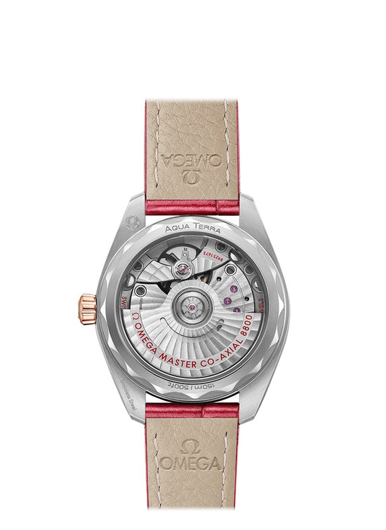 Omega Replica Watch Seamaster AQUA TERRA 150M CO‑AXIAL MASTER CHRONOMETER 220.23.34.20.60.001