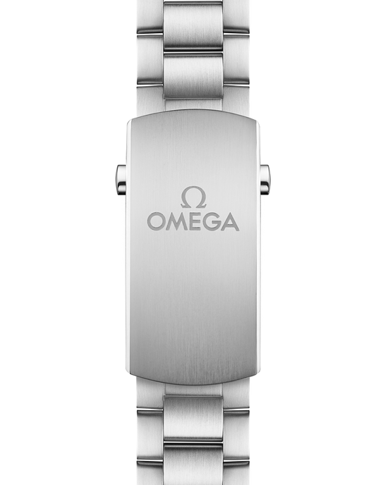 Omega Replica Watch Seamaster PLANET OCEAN 600M CO‑AXIAL MASTER CHRONOMETER 215.30.44.21.03.001