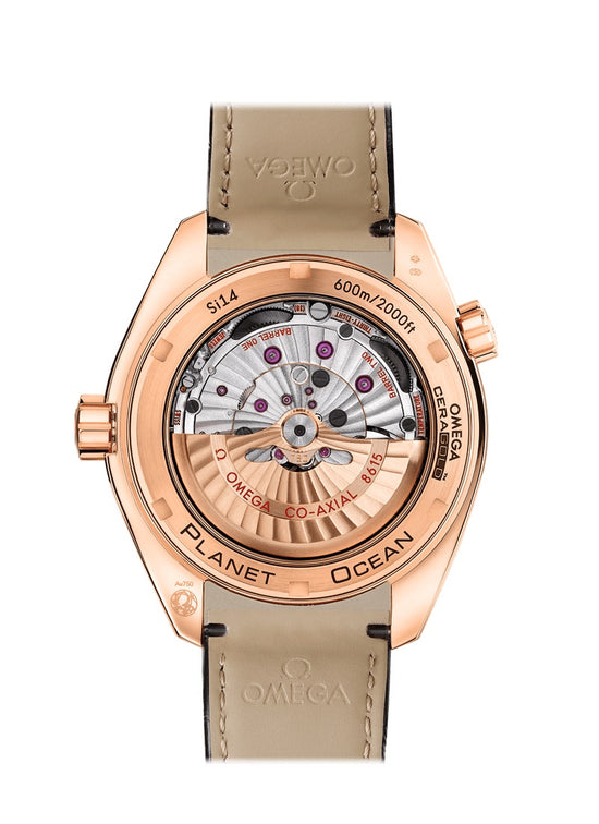 Omega Replica Watch Seamaster PLANET OCEAN 600M CO‑AXIAL MASTER CHRONOMETER GMT 232.63.44.22.01.001