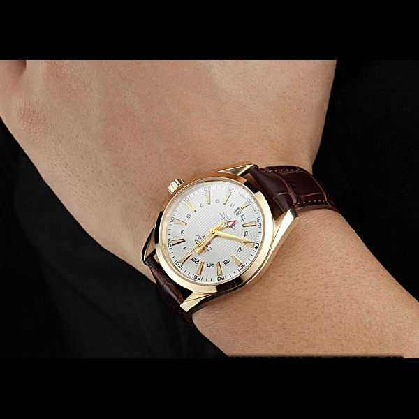 Omega Seamaster Planet Ocean GMT White Dial Gold Case Brown Leather Band new60294