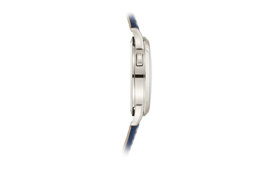 Patek Philippe Replica Watch Complication World Time cosmopolitan, Platinum, 38,5mm, 5230P-001