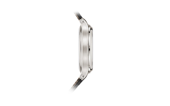 Patek Philippe Replica Watch Grand Complication, Platinum, 44,8mm, Grande Sonnerie 6301P-001