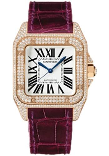 Replica Cartier Santos 100 Watch WM502151