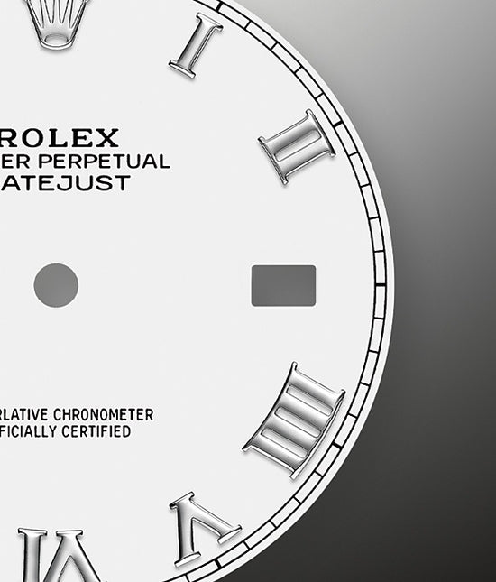 Rolex Replica Watch Datejust 41 Oystersteel and white gold 126334-0024