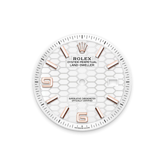 Rolex Replica Watch Land-Dweller 36, 18k Everose Gold, Intense white dial, Fluted Flat Jubilee, 127235-0001