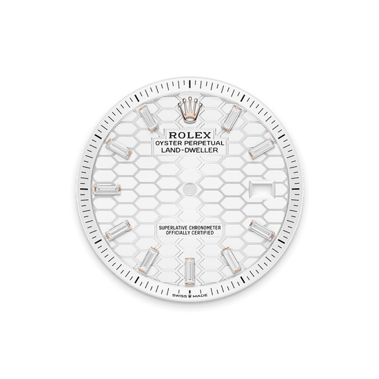 Rolex Replica Watch Land-Dweller 40, 18k Everose Gold and Diamonds, Intense white dial, Flat Jubilee, 127385tbr-0003