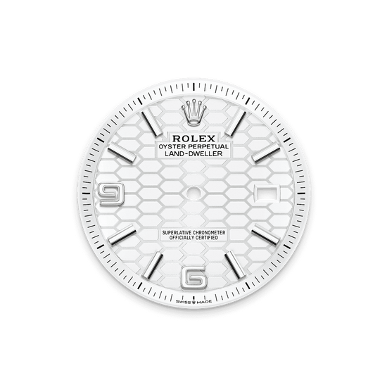 Rolex Replica Watch Land-Dweller 40, Oystersteel and 18k White Gold, Intense white dial, Fluted Flat Jubilee, 127334-0001