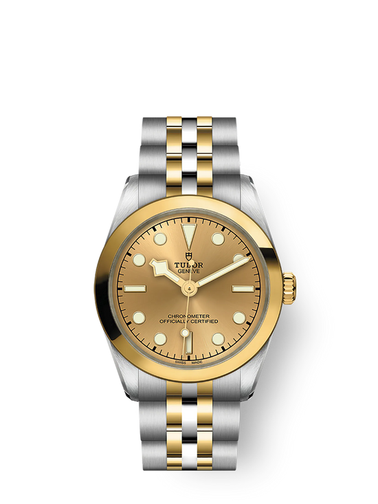 Tudor Replica Watch Black Bay 31 S &G, 316L Stainless Steel and 18k Yellow Gold, M79603-0005