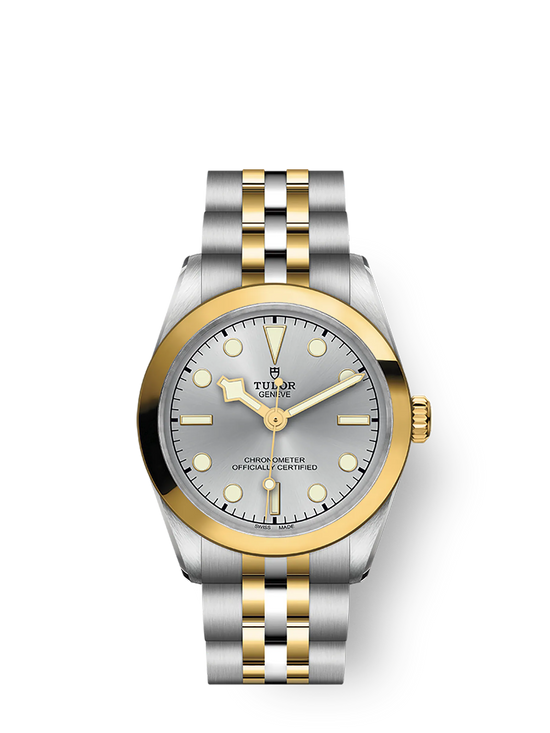 Tudor Replica Watch Black Bay 31 S &G, Ladies, 316L Stainless Steel and 18k Yellow Gold, M79603-0002