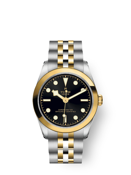 Tudor Replica Watch Black Bay 31 S &G, Stainless Steel and 18k Yellow Gold, M79603-0001