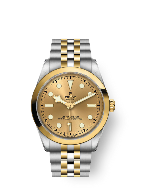 Tudor Replica Watch Black Bay 36 S &G, 316L Stainless Steel and 18k Yellow Gold, M79643-0005