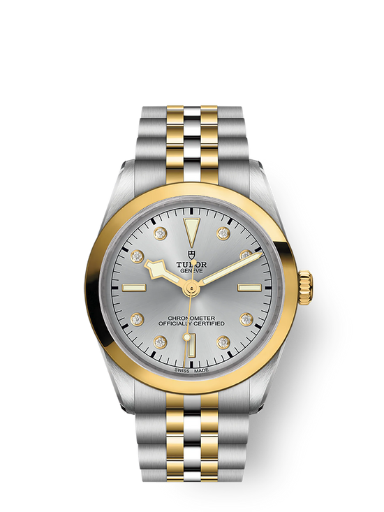 Tudor Replica Watch Black Bay 36 S &G, 316L Stainless Steel and 18k Yellow Gold, M79643-0007
