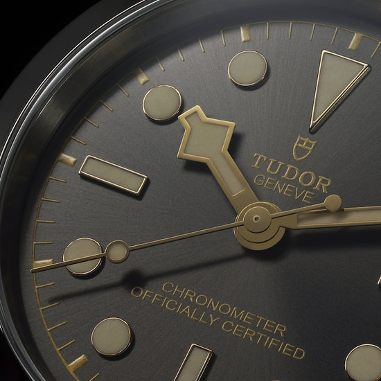 Tudor Replica Watch Black Bay 36, Stainless Steel, 36mm,M79640-0001