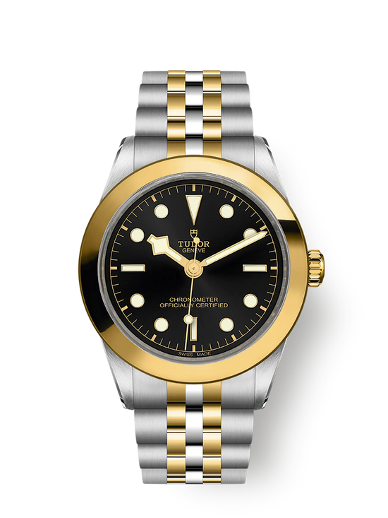 Tudor Replica Watch Black Bay 39 S &G, 316L Stainless Steel and 18k Yellow Gold, M79663-0001