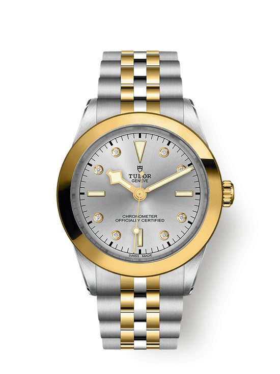 Tudor Replica Watch Black Bay 39 S &G, 316L Stainless Steel and 18k Yellow Gold, M79663-0007