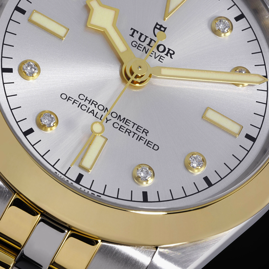 Tudor Replica Watch Black Bay 39 S &G, 316L Stainless Steel and 18k Yellow Gold, M79663-0007