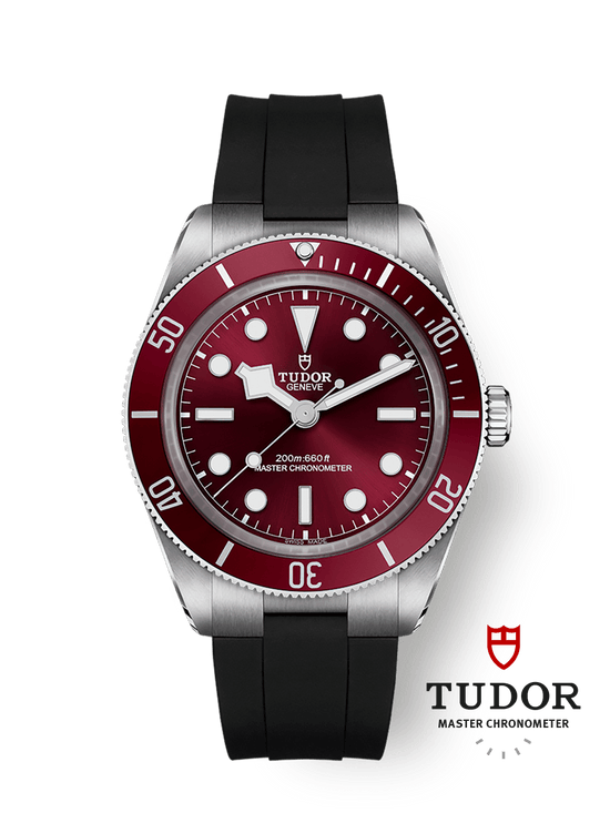 Tudor Replica Watch Black Bay 58, Stainless Steel, 39mm, M7939A1A0RU-0003
