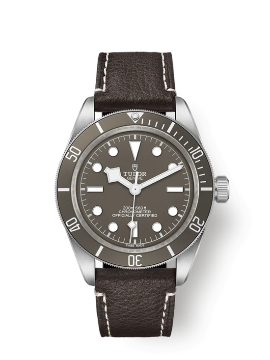Tudor Replica Watch Black Bay Fifty-Eight 925, 39mm, 925 Silver, M79010SG-0001