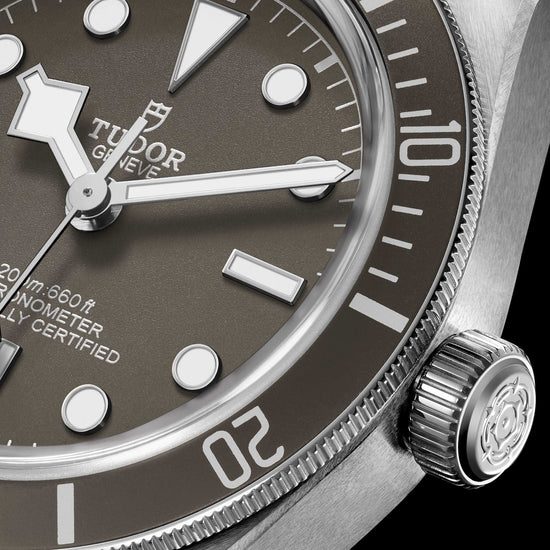 Tudor Replica Watch Black Bay Fifty-Eight 925, 39mm, 925 Silver, M79010SG-0002