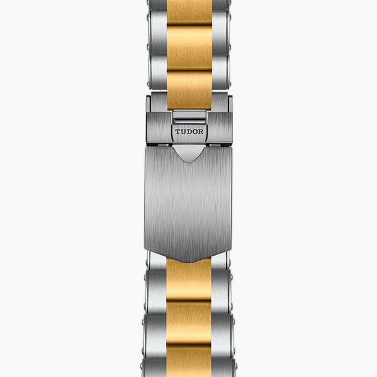 Tudor Replica Watch Black Bay GMT S &G, Stainless Steel and 18k Yellow Gold, 41mm, M79833MN-0001