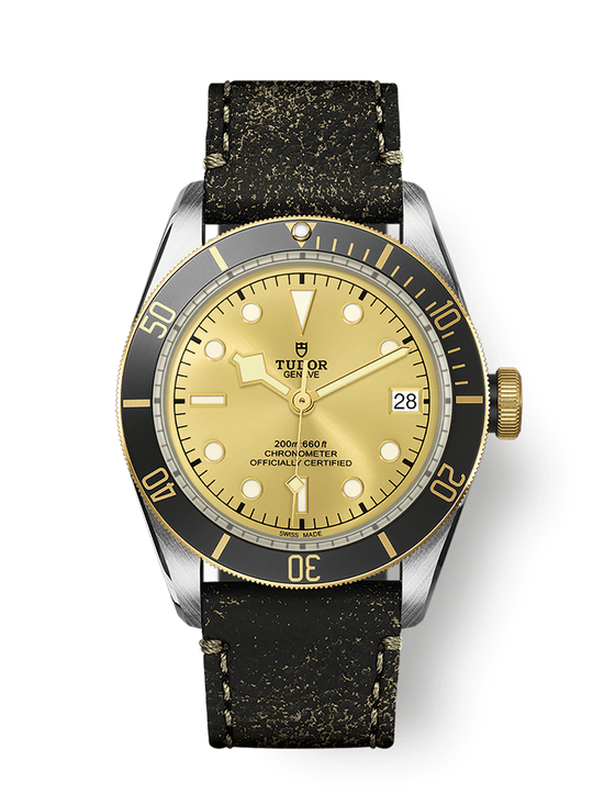 Tudor Replica Watch Black Bay S &G, 41mm, Stainless Steel and 18k Yellow Gold, M79733N-0003