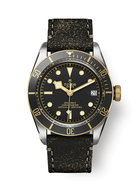Tudor Replica Watch Black Bay S &G, 41mm, Stainless Steel and 18k Yellow Gold, M79733N-0007