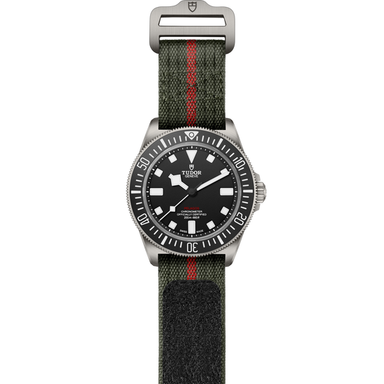 Tudor Replica Watch Pelagos FXD, 42mm, Titanium, M25717N-0001